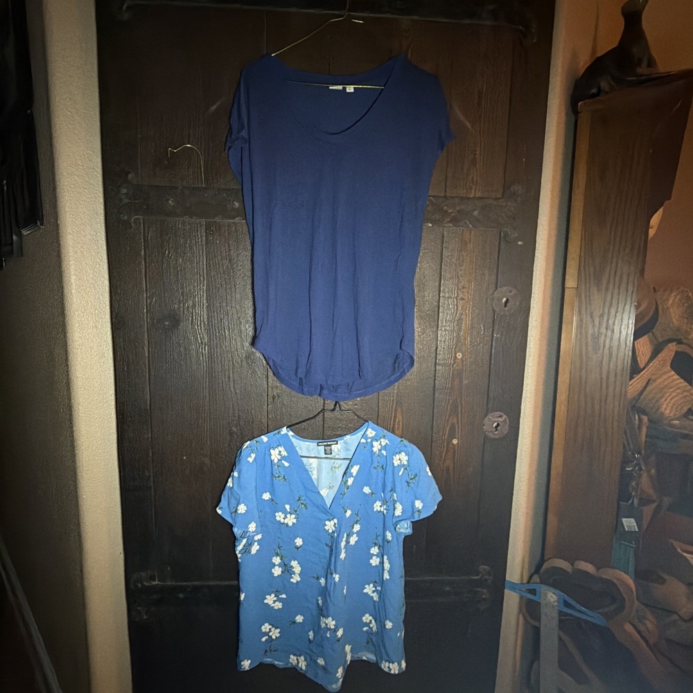 Gap & Hilary Radley Tops Women's Size XS Lot Of 2 Pullover Blue Floral Solid H